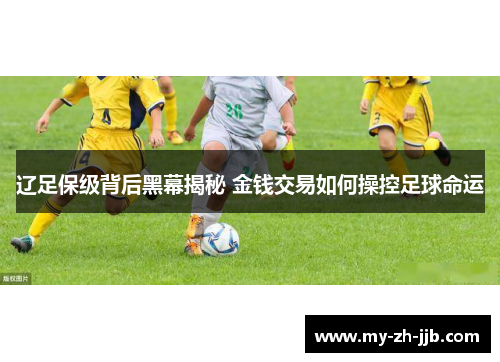 辽足保级背后黑幕揭秘 金钱交易如何操控足球命运
