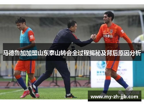 马德鲁加加盟山东泰山转会全过程揭秘及背后原因分析